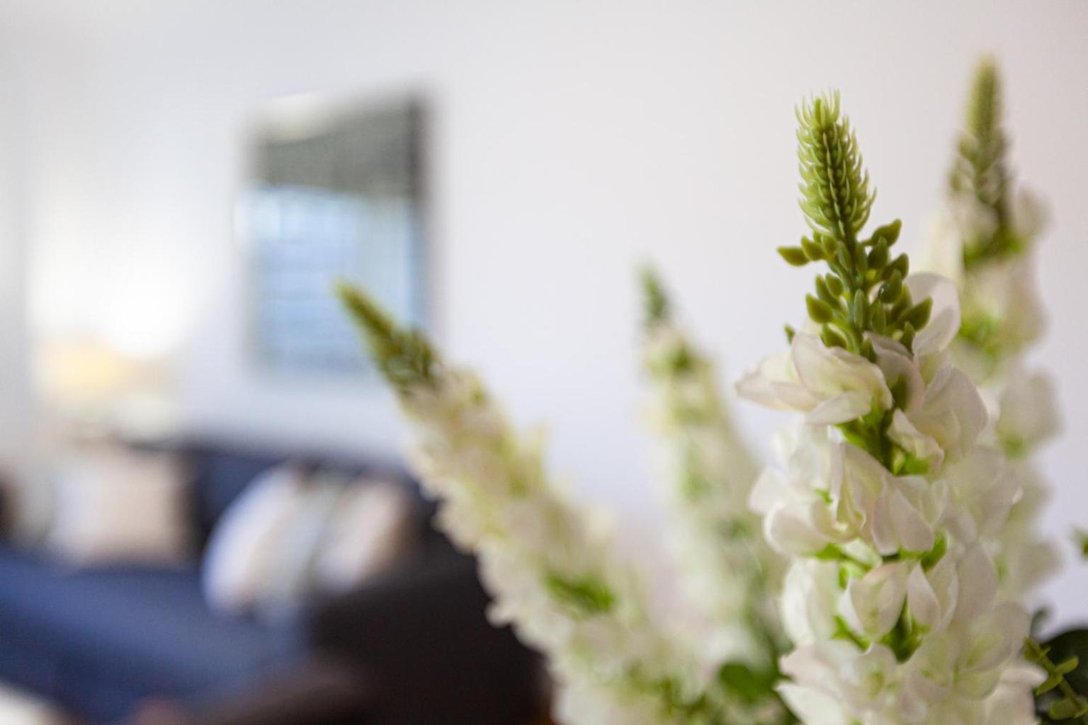 Apartamento Lisboa Sete Rios Exteriér fotografie